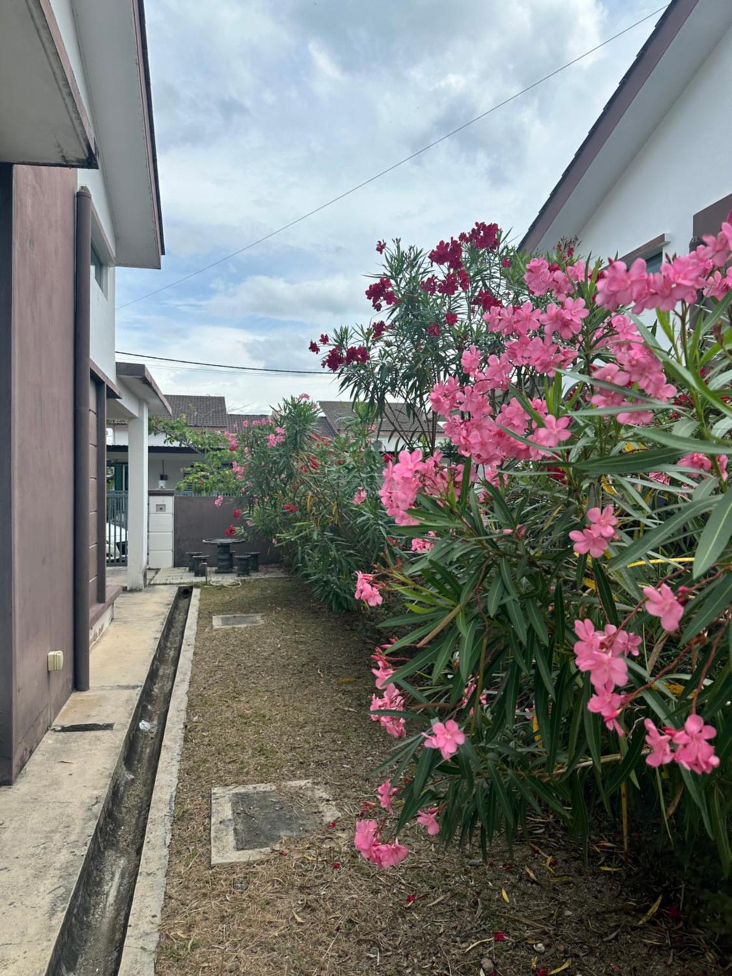 Aisy - Musllm Only Holiday home *